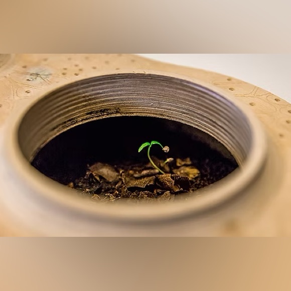 NIB Bionicraft Biovessel Living Composter - Picture 3 of 6